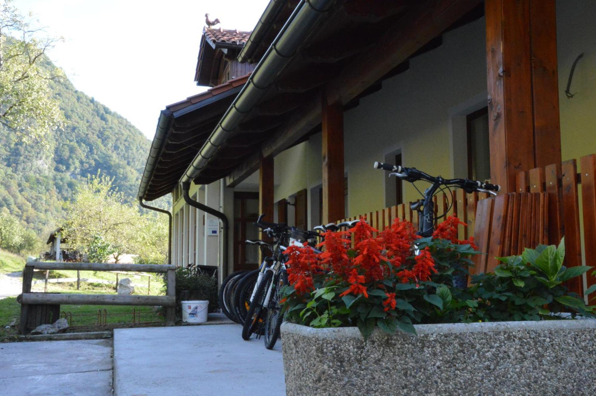 Вилла Tourist Farm Pri Kafolu Толмин Номер фото
