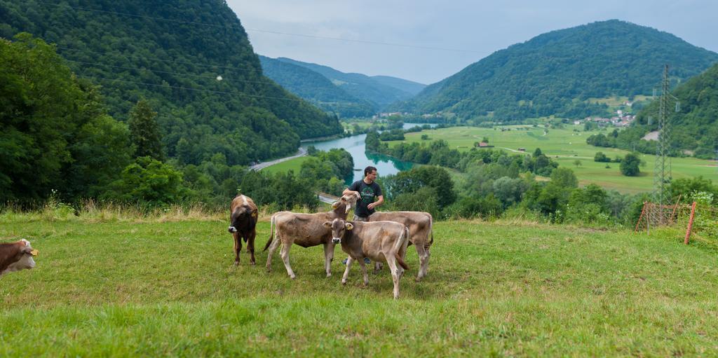 Вилла Tourist Farm Pri Kafolu Толмин Экстерьер фото