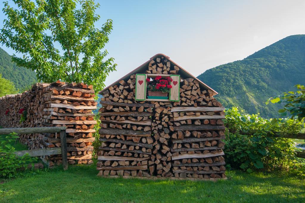 Вилла Tourist Farm Pri Kafolu Толмин Экстерьер фото